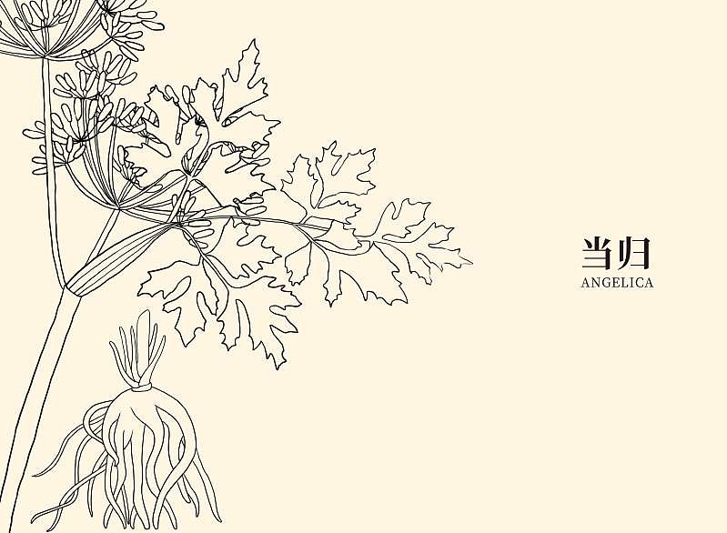 中药洗发水包装（图ZMjc1Njk0NjM2） - 包装 - 站酷设计师阿卡鱼原创素材 - 站酷ZCOOL