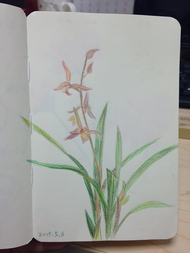 要:好好学习天天向上