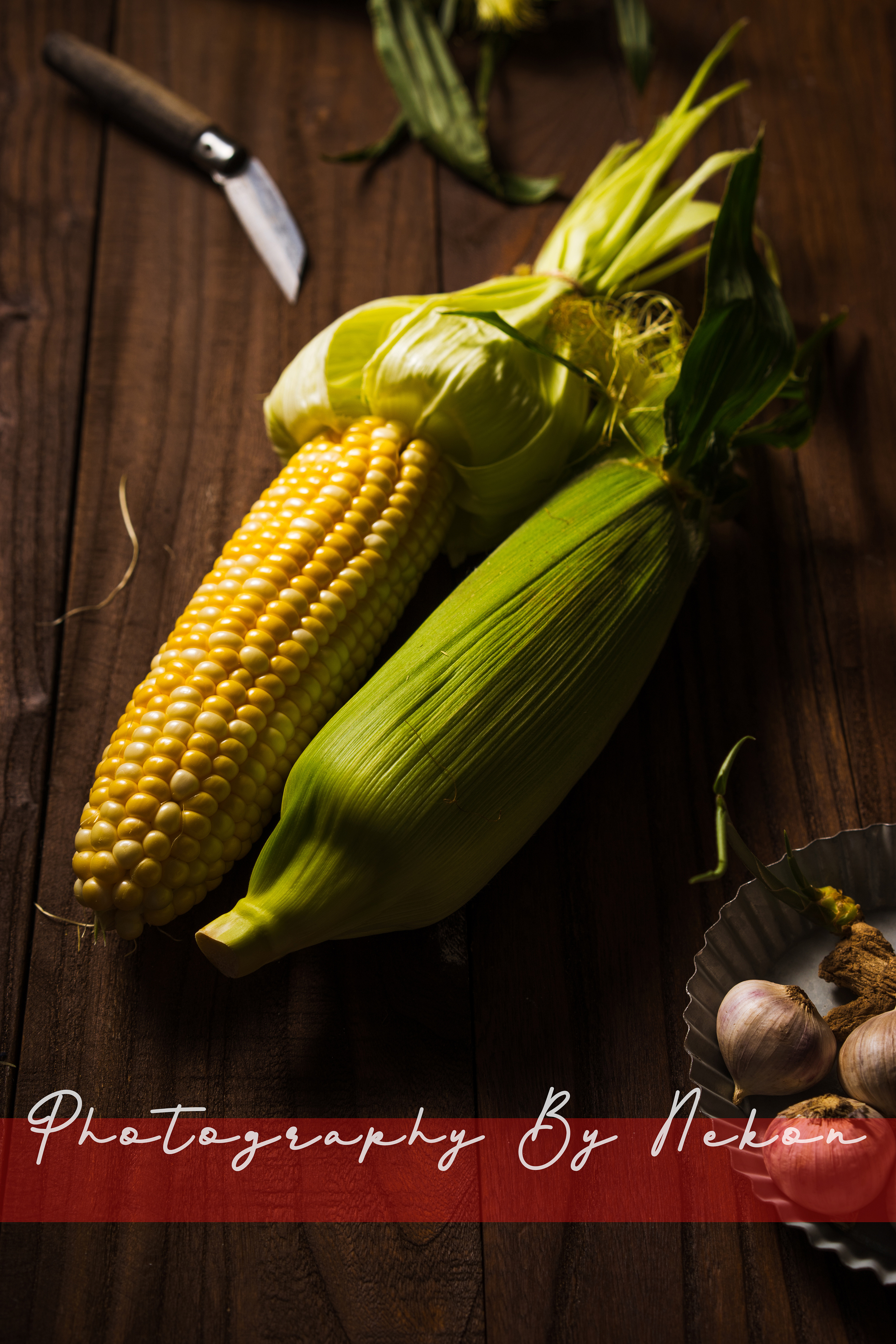 玉米主题拍摄|摄影|静物|猫空 - 原创作品 - 站酷 (zcool)