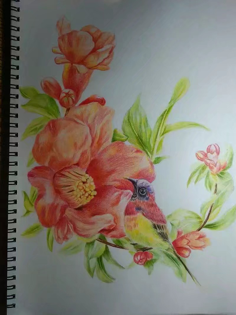 手绘作品（图ZMTYyNDkxOTky） - 创作习作 - 站酷设计师贝加尔湖畔_L原创素材 - 站酷ZCOOL