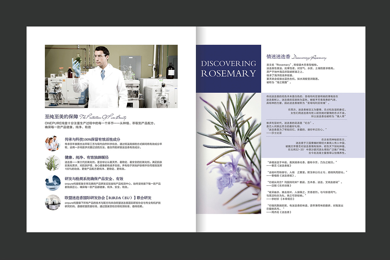 品牌建立，品牌设计，全案整理，品牌策划，包装设计