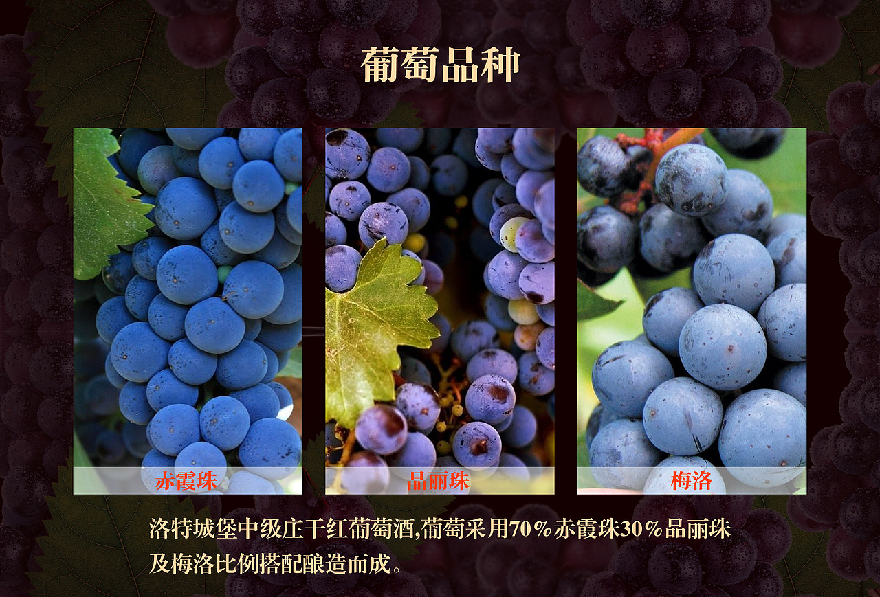 红酒详情页（图ZMTI4NDYyMjYw） - 电商 - 站酷设计师侯小拽原创素材 - 站酷ZCOOL