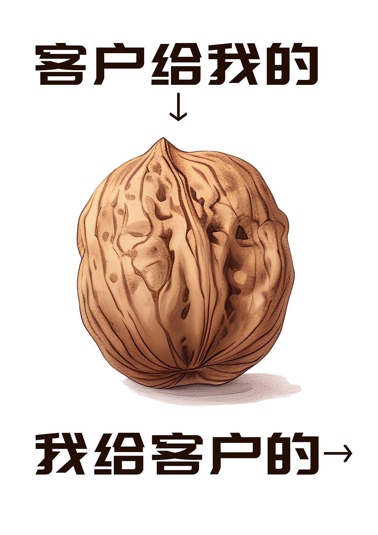 核桃插画包装设计