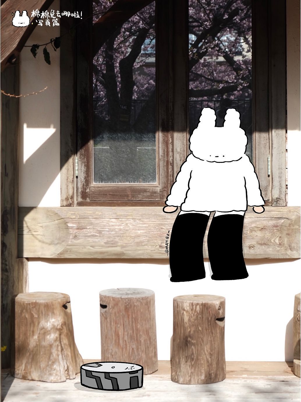 棉棉兔的写真馆