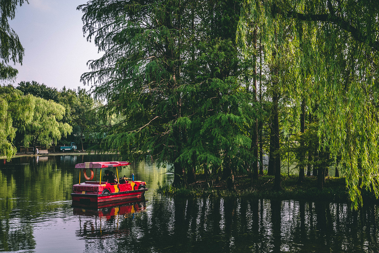 上海——共青森林公园