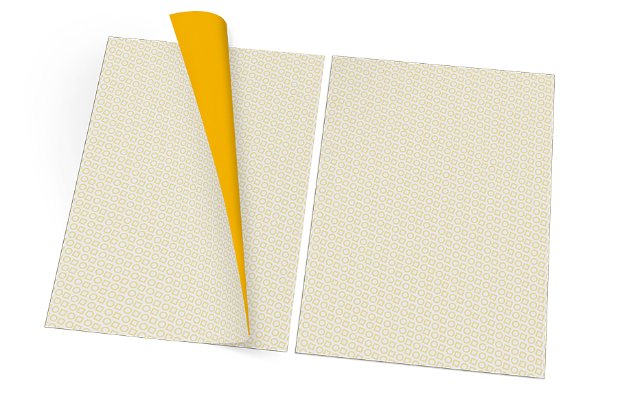 吉吉鸡(LOGO标志+延展