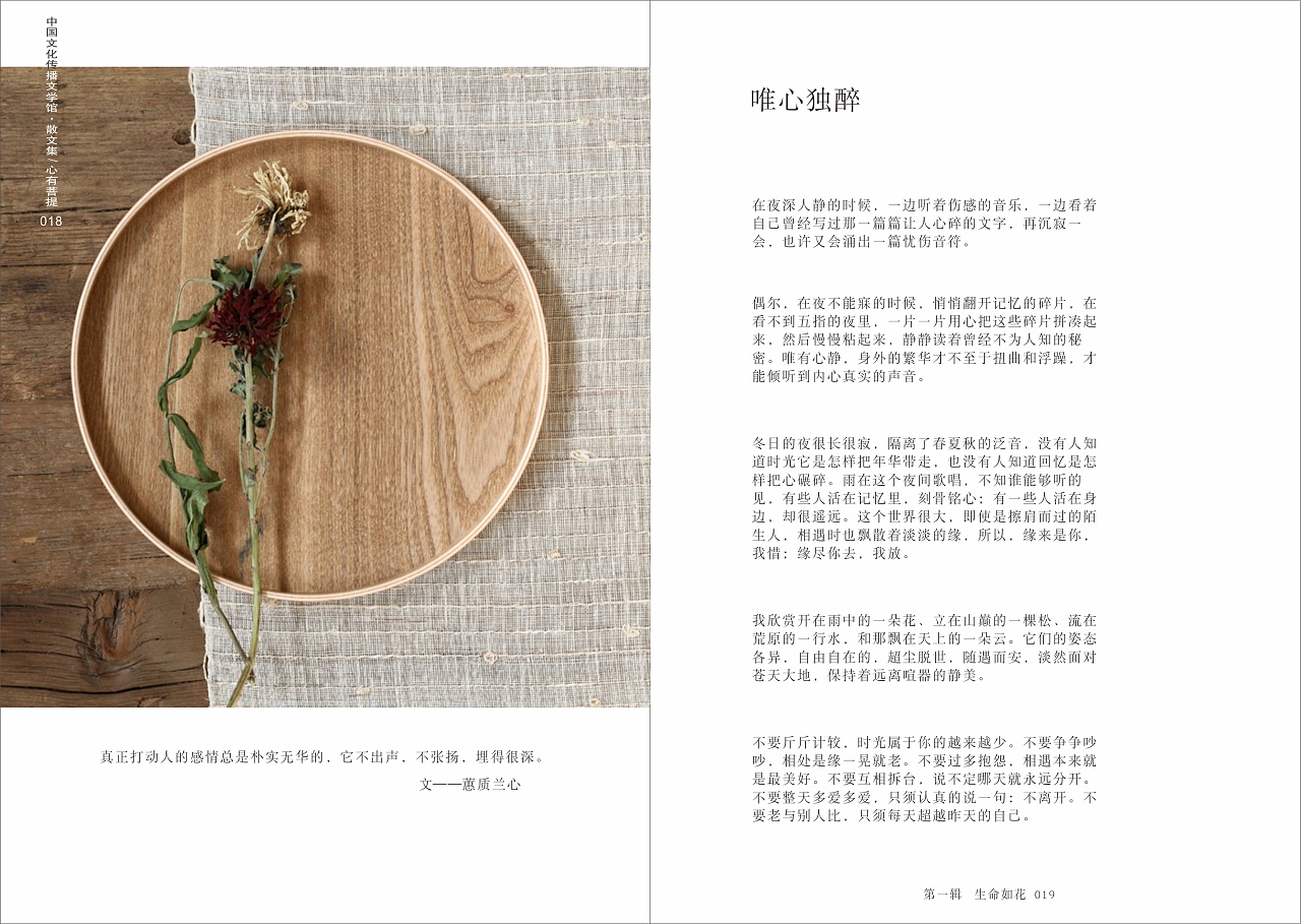 心若菩提书籍装帧设计