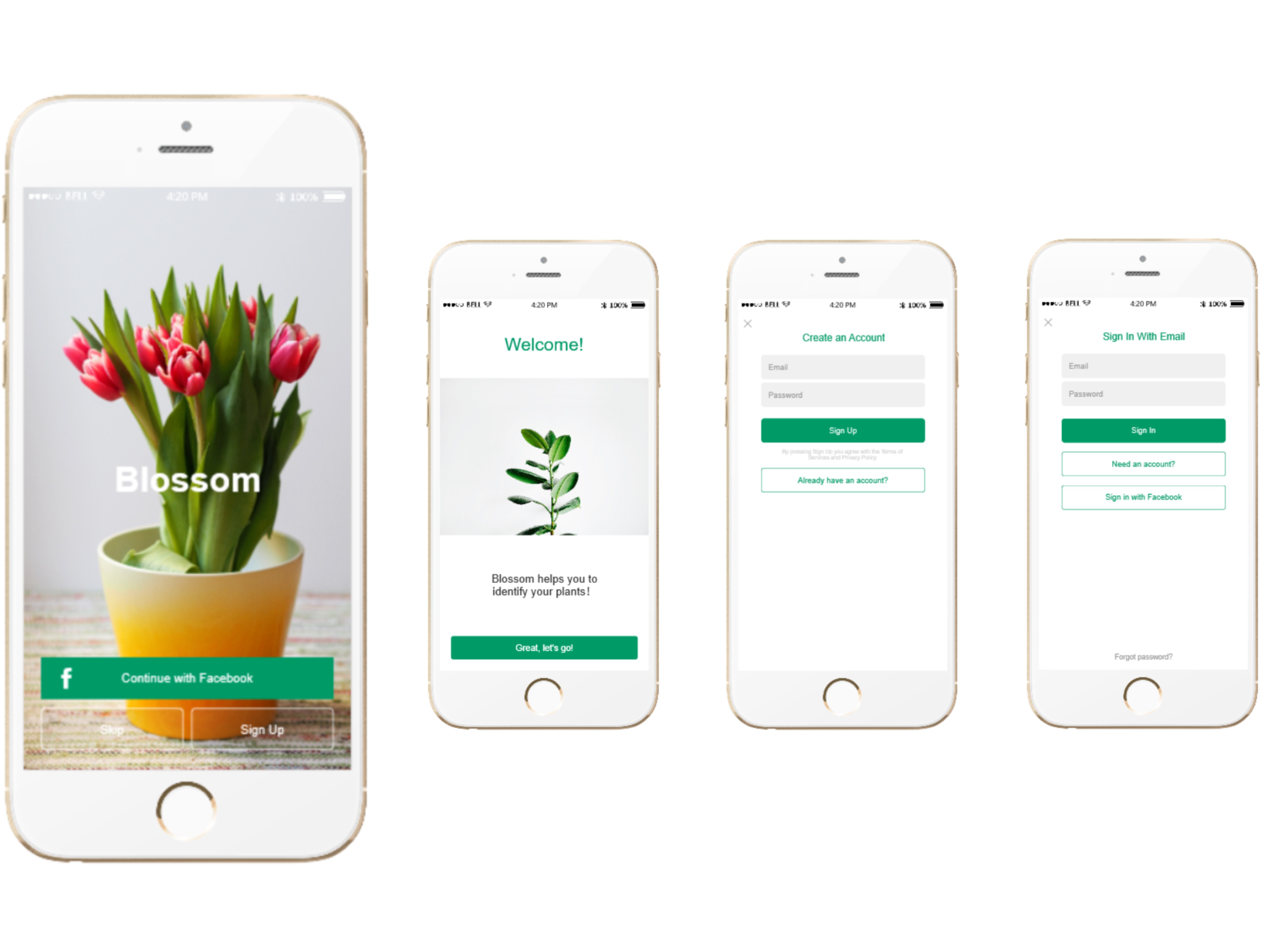 Blossom Plant Identification APP_FayeDu站酷ZCOOL