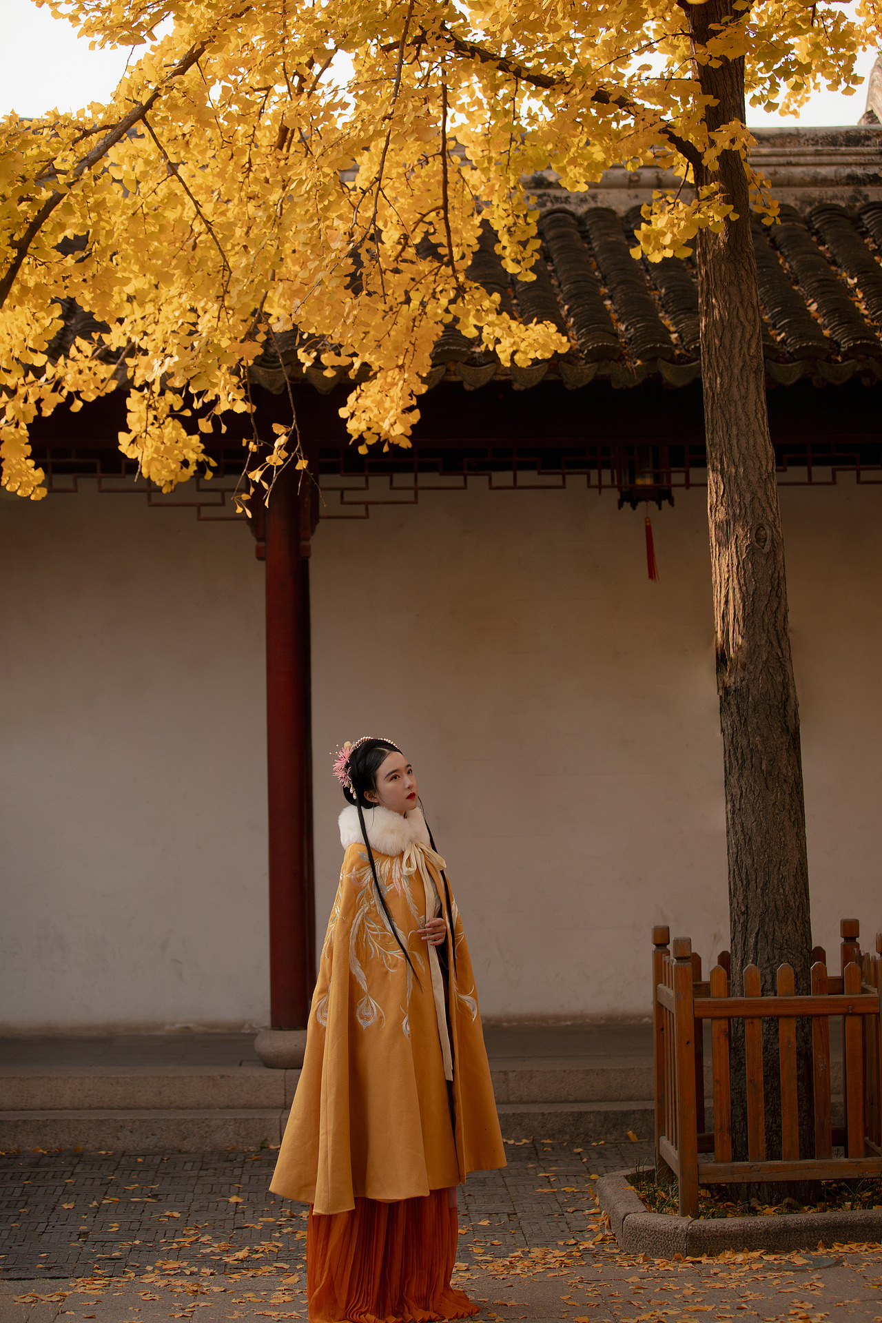 秋枫（图ZMjAwNzM1NDYw） - 人像摄影 - 站酷设计师周周KAT原创素材 - 站酷ZCOOL