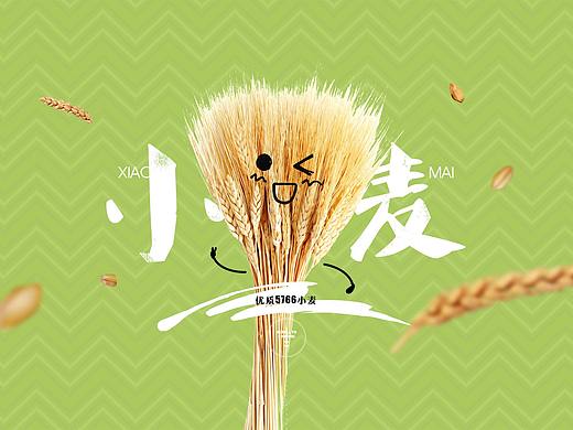 农产品BANNER