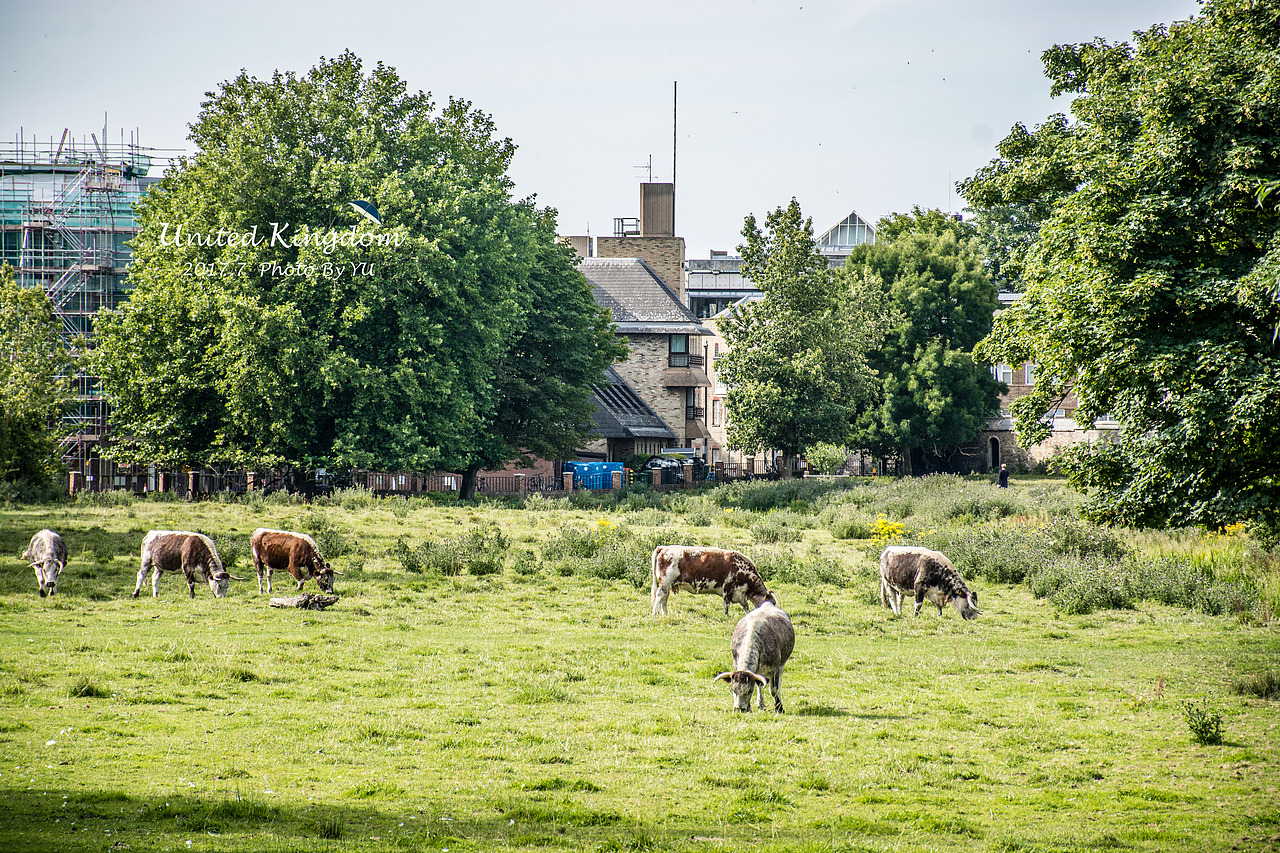 不列颠の夏天（图ZMTAxNzkyNjQ4） - 风光摄影 - 站酷设计师yu_qianqian原创素材 - 站酷ZCOOL