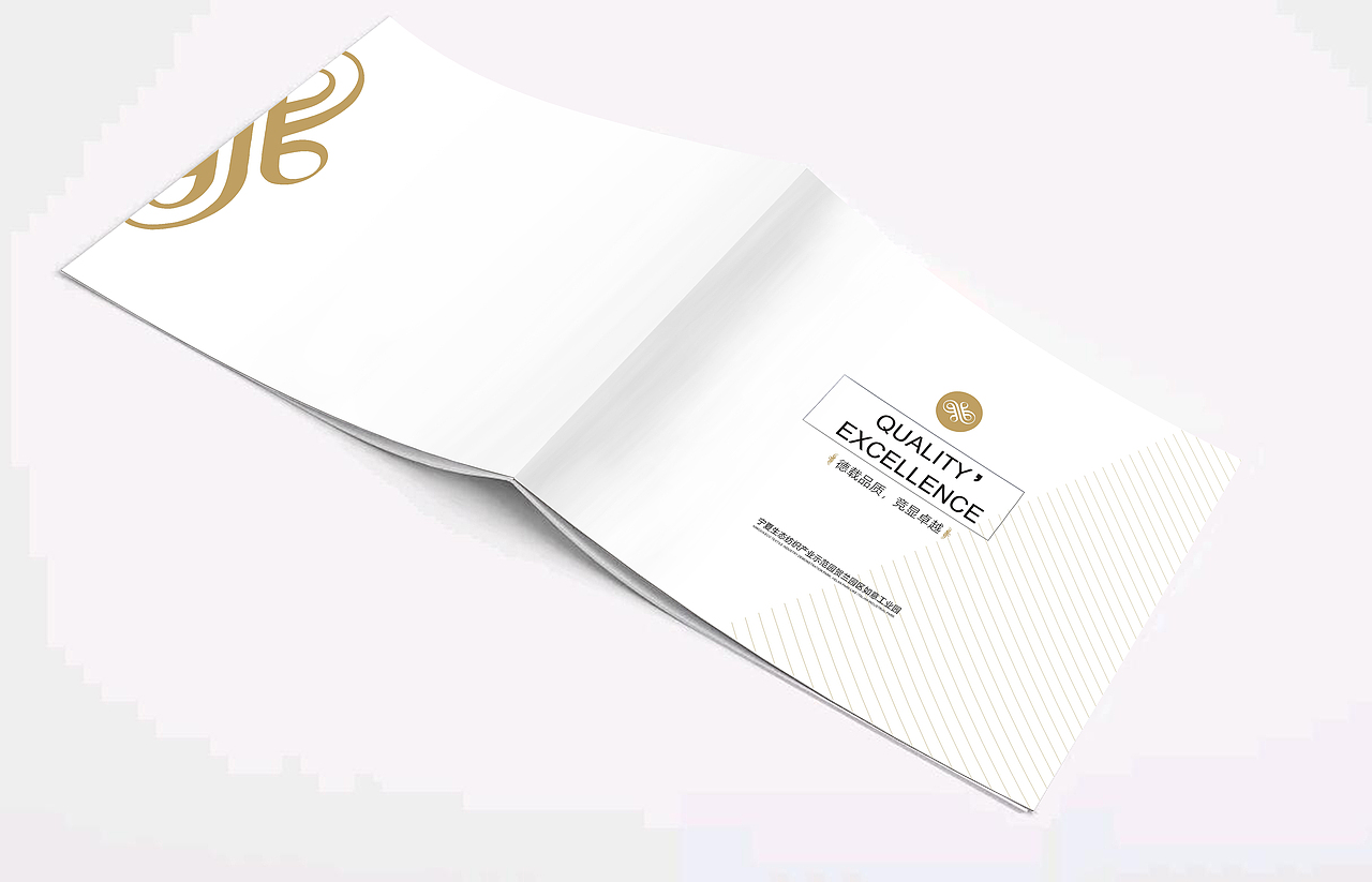 如意集团宣传画册/品牌画册/书籍装帧/排版设计/册子