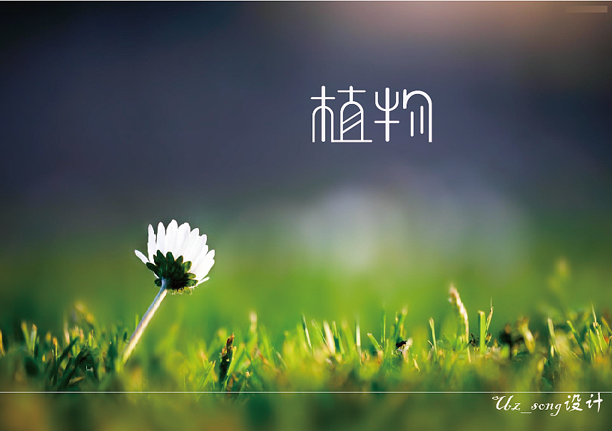 字体设计-第五弹《我爱花》（图ZNTA0NDg2MTY=） - 字体/字形 - 站酷设计师Uz_song原创素材 - 站酷ZCOOL