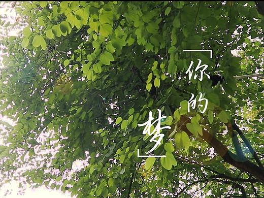 个人短视频创作
