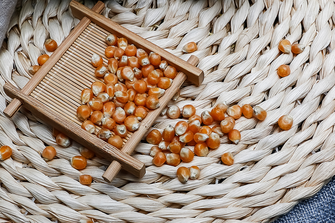 山东省菏泽鲁西南成武东北地区五谷杂粮拍摄球形爆米花专用玉米圆球形玉米粒摄影(二十四)