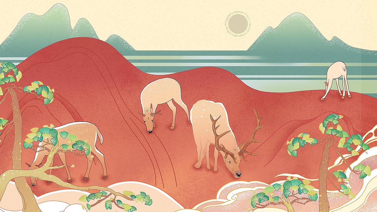 《东灵山的一天》数字绘本创作（图ZMjIyNDYwNTIw） - 绘本 - 站酷设计师卓小昕sweetheart原创素材 - 站酷ZCOOL