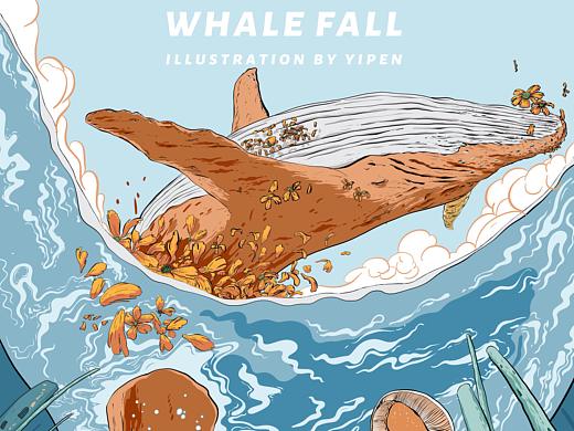 Whale fall【鲸落】