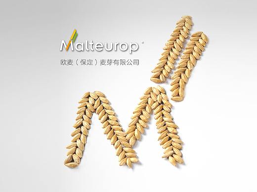 小麦 首页 详情页