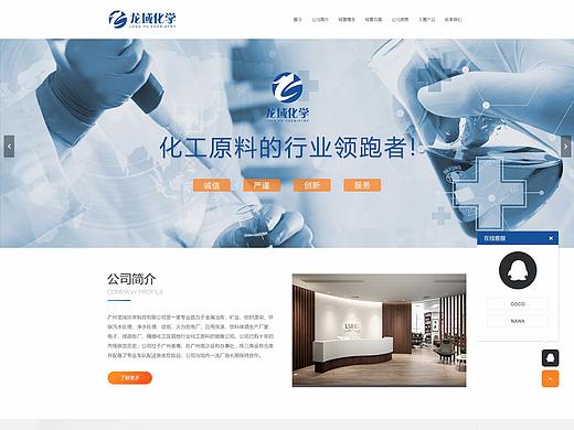 企业网站