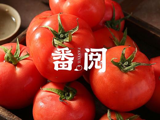 番阅番茄品牌全案策划设计