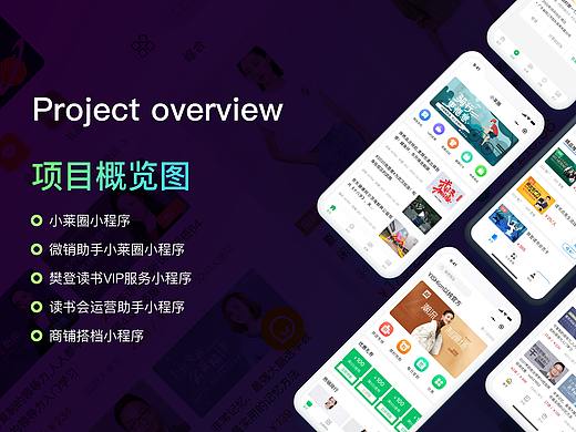 2020项目概览图