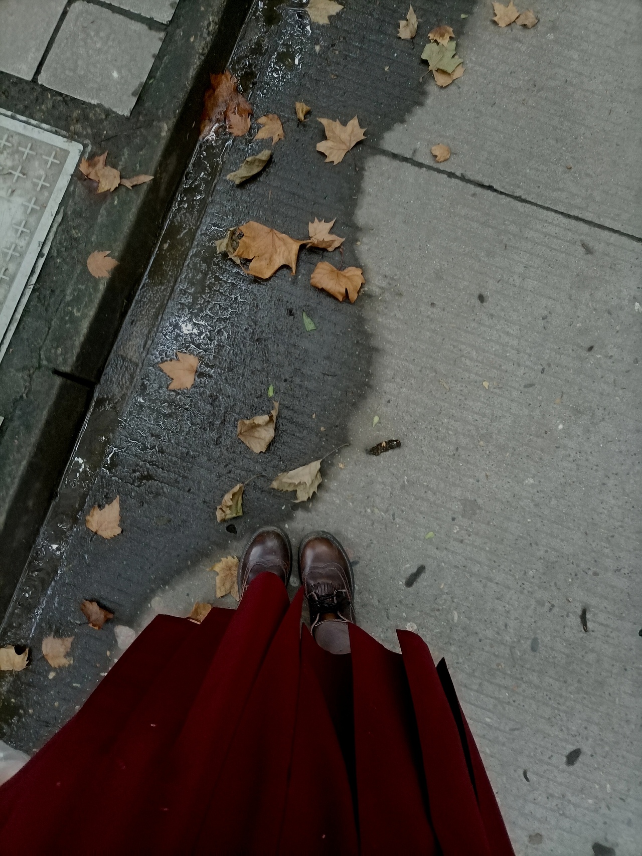 是初秋
和锡兰红茶