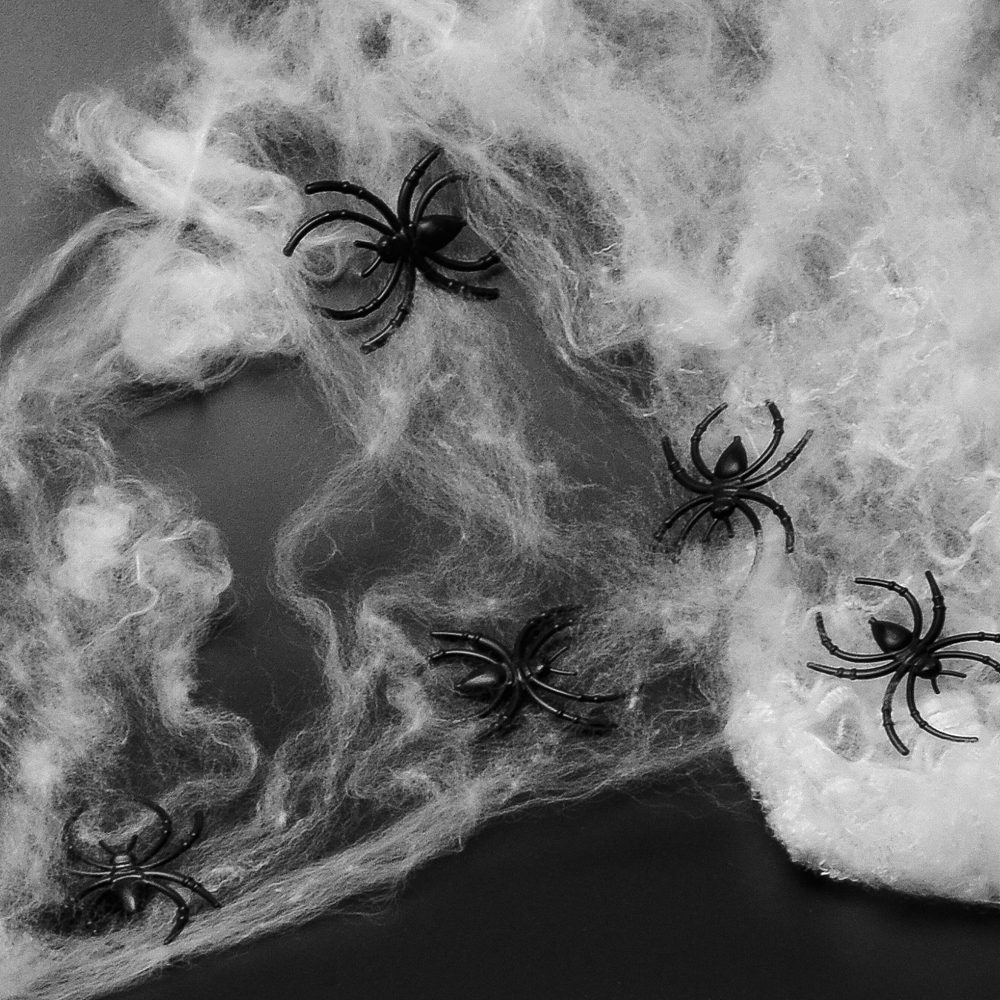 亚马逊蜘蛛丝主图