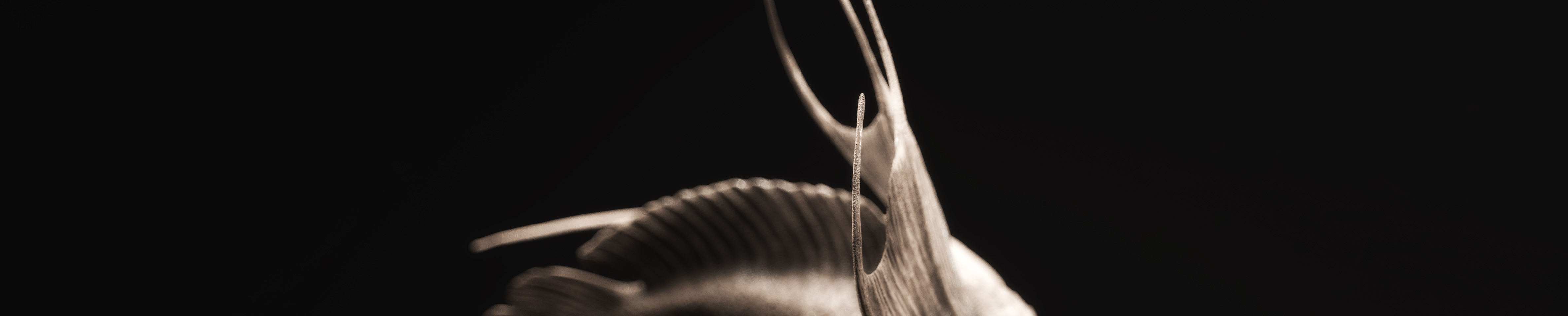 zeyi泽亿的个人主页（背景预览） - 主页背景设置 - 站酷设计师zeyi泽亿原创素材 - 站酷ZCOOL