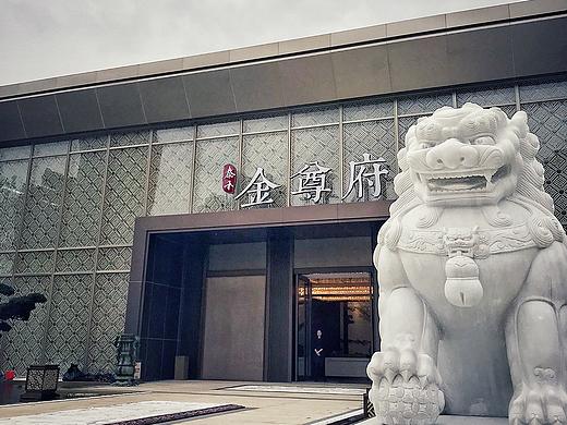 泰禾·金尊府导视