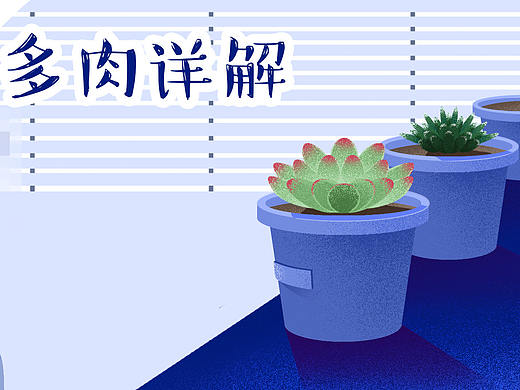 多肉详解