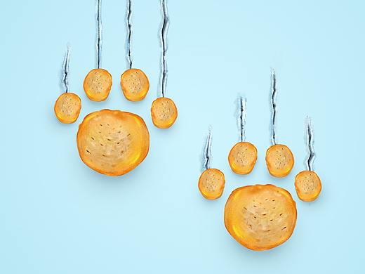 米多奇创意海报（个人主页-ZNDM5NDA1NDQ=） - 海报 - 站酷设计师郭妞妞牛原创素材 - 站酷ZCOOL