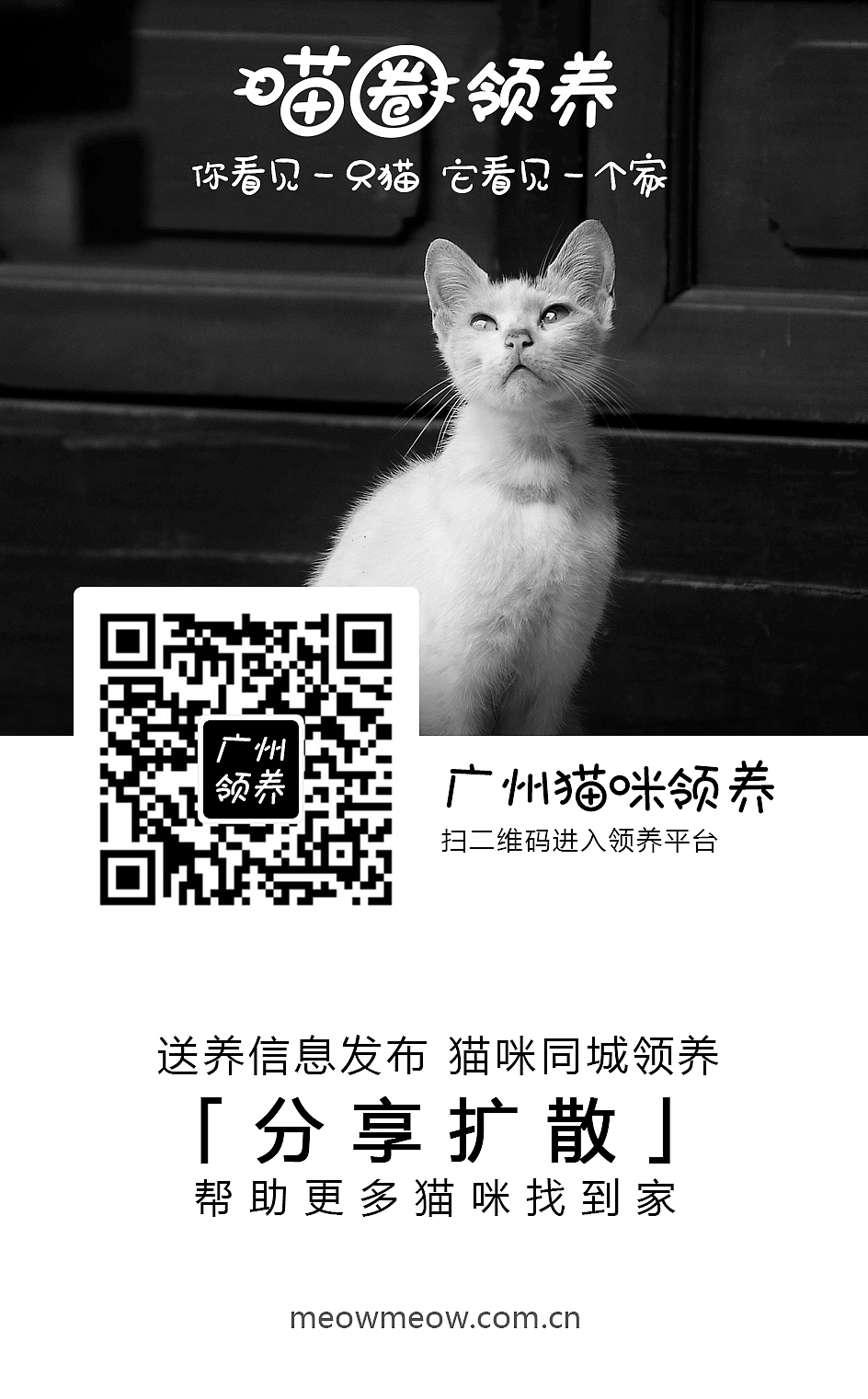 喵圈领养-各城市领养小组上线海报（图ZMTQxNDMzMDEy） - 海报 - 站酷设计师带风007原创素材 - 站酷ZCOOL