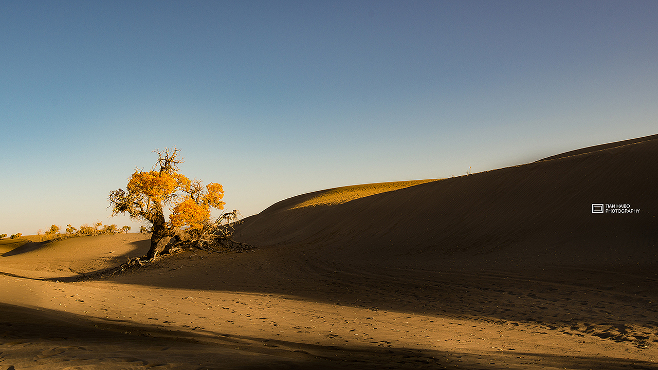 地儿来了·记忆里的那次穿越