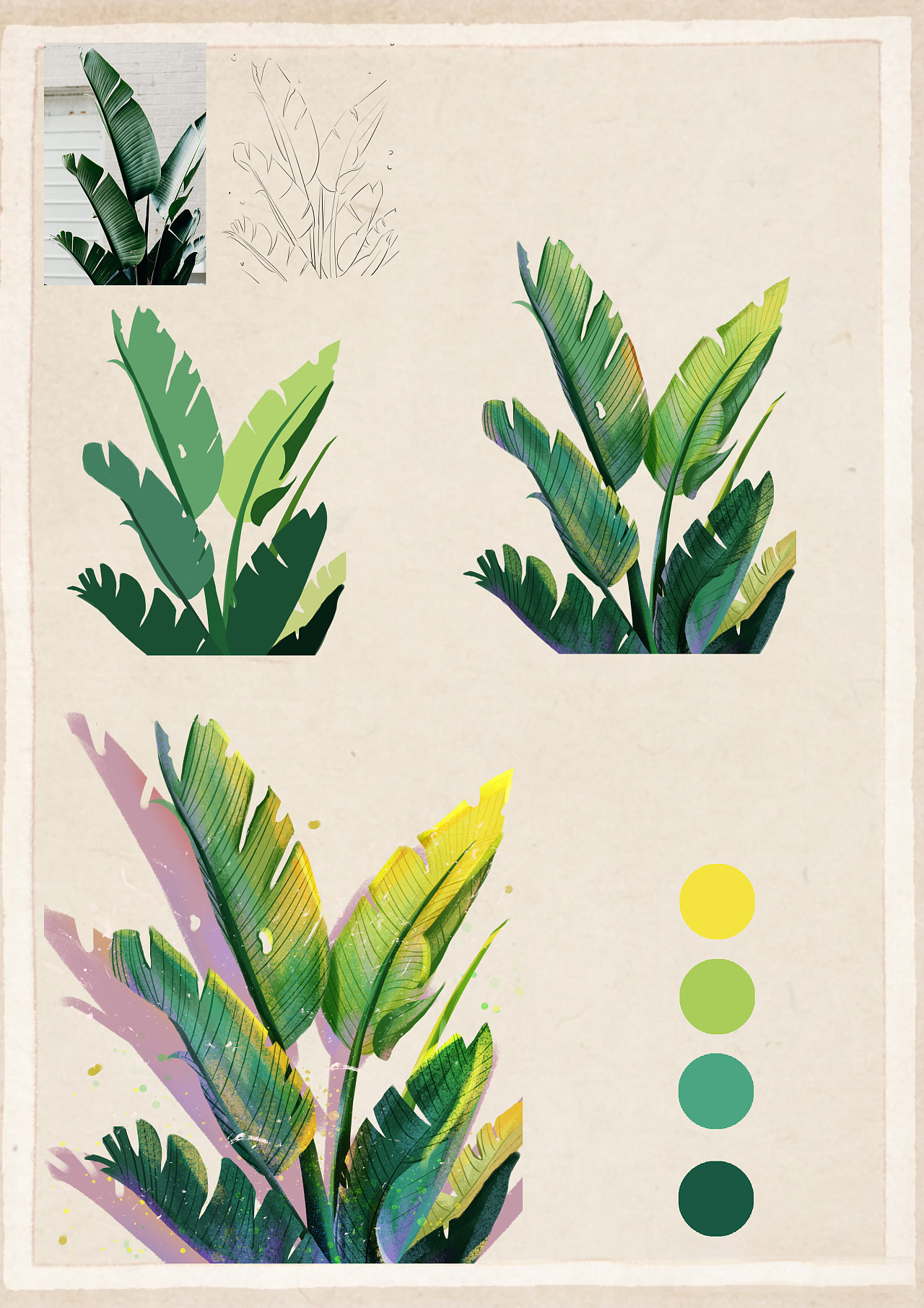 肌理风格|植物花卉集合|插画|儿童插画|达利园dly - 原创作品 - 站酷