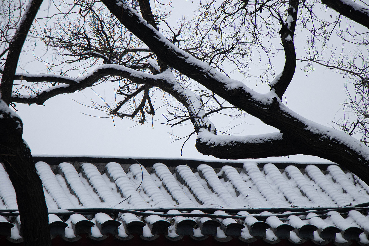 北京2022.1.22雪（图ZMjg2MTQ5MTYw） - 风光摄影 - 站酷设计师雷十三摄影原创素材 - 站酷ZCOOL