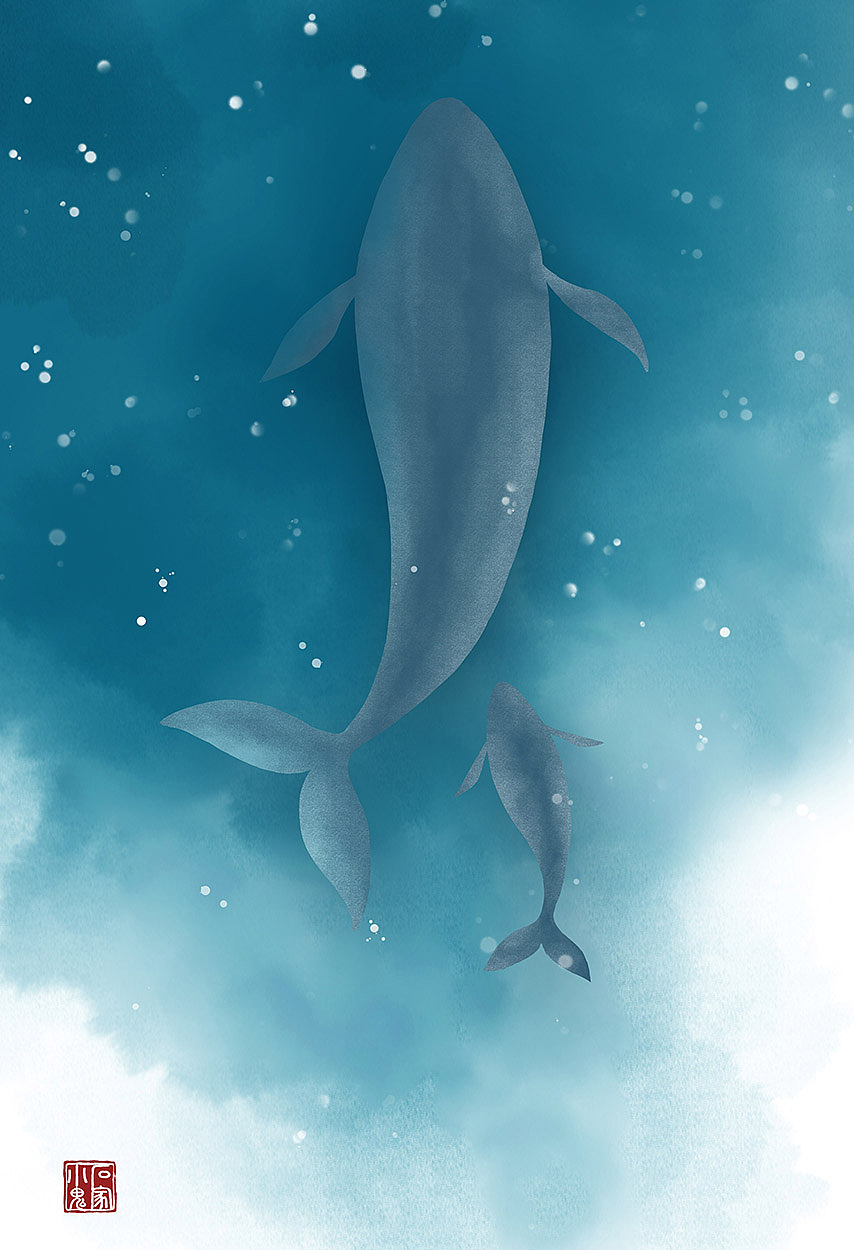 海中精灵——蓝鲸插画
