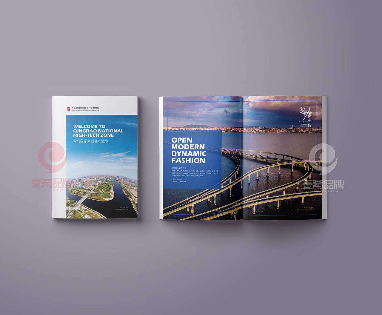 一希品牌设计--国家高新区招商画册宣传册设计
