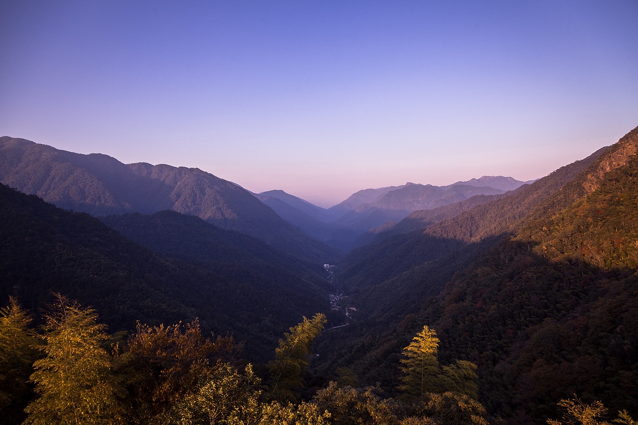 拍摄桐木关照片