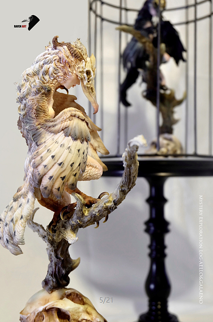 藏密探物-美人鸟