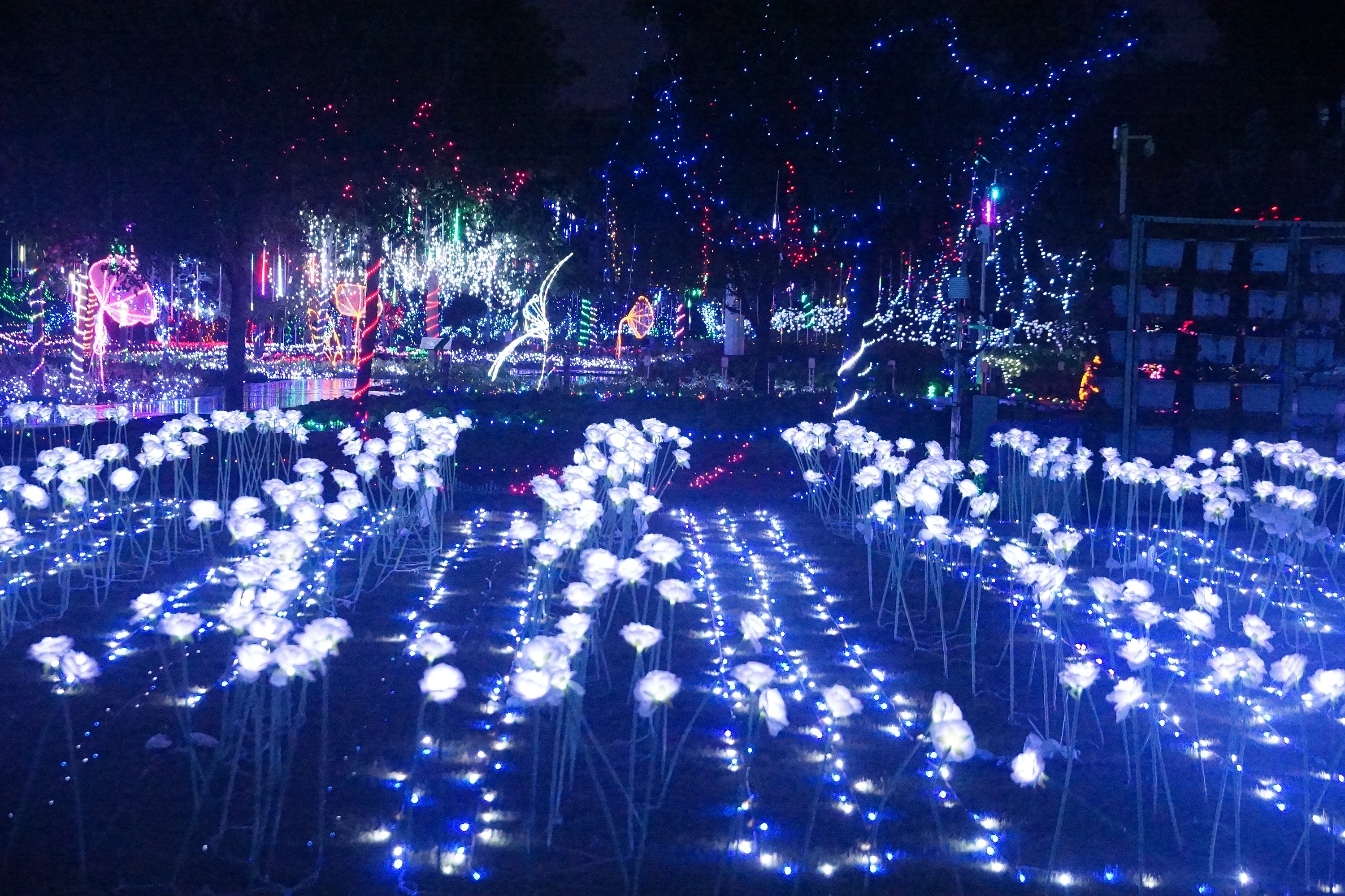 深圳坪地低碳城灯光节