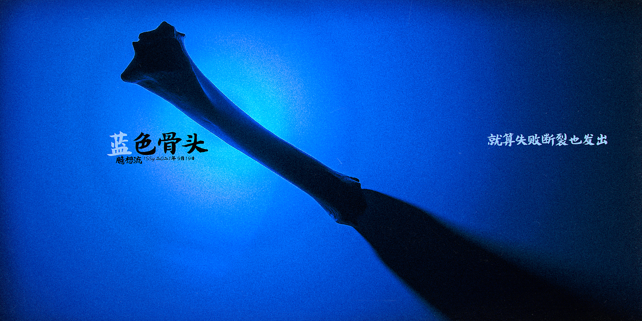 蓝色骨头
