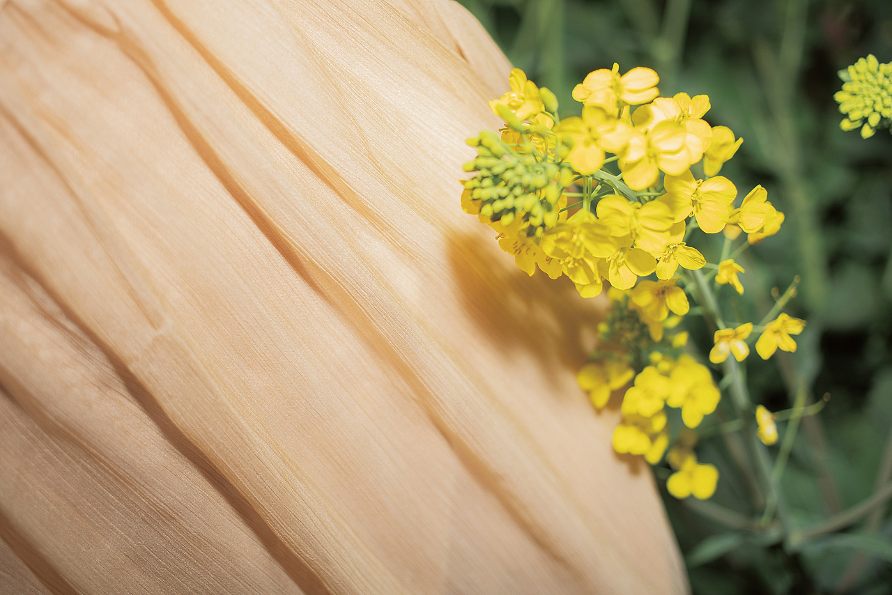 有些鸟儿是关不住的（图ZMjkxODA0MzAw） - 人像摄影 - 站酷设计师斯无鸡蛋原创素材 - 站酷ZCOOL