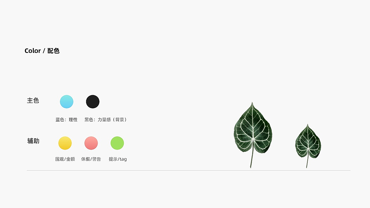 作品集