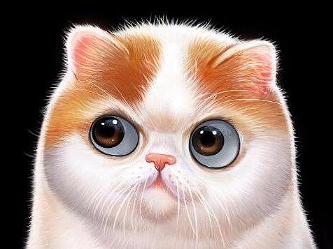 猫插画