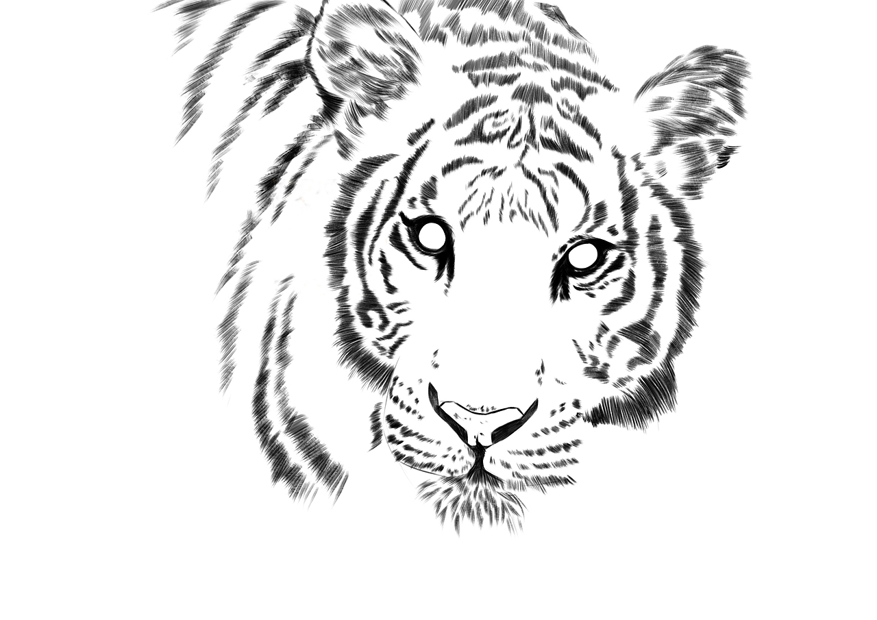 老虎（图ZMjgzOTY4OTg4） - 绘本 - 站酷设计师Z53566239原创素材 - 站酷ZCOOL