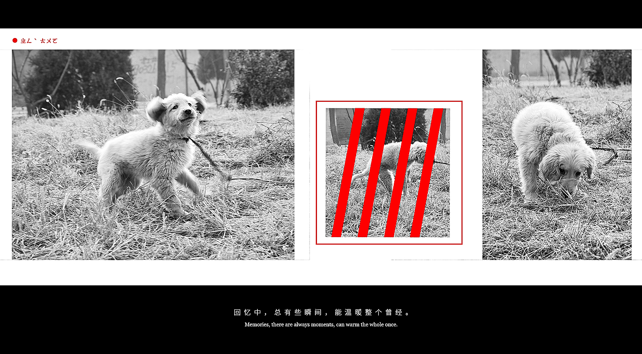 2016在北京大興（圖ZODA2OTY4OTY=） - 寵物攝影 - 站酷設(shè)計(jì)師rivers_原創(chuàng)素材 - 站酷ZCOOL