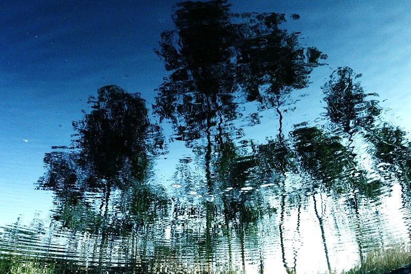 摄影—《留影系列》