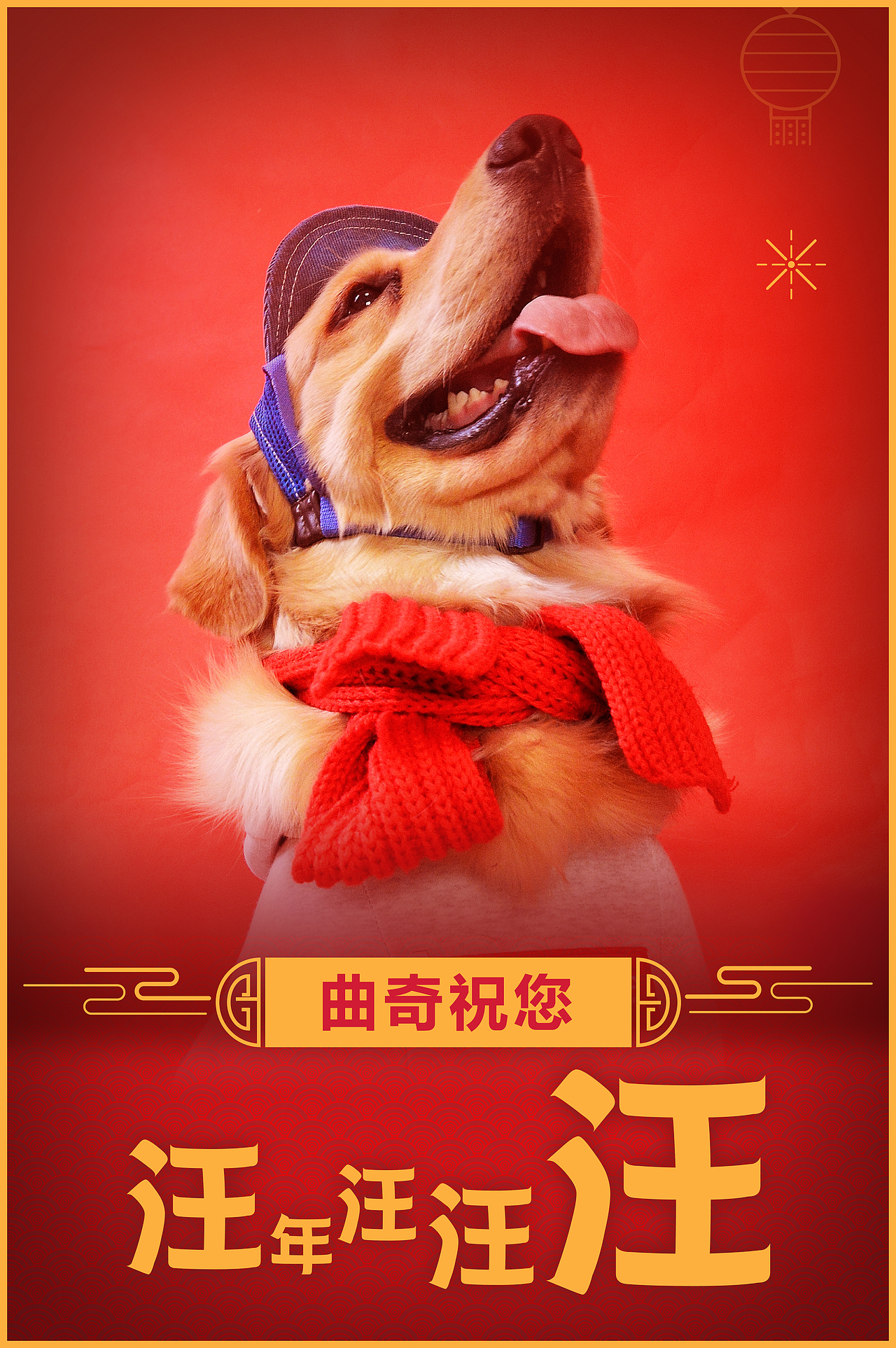 2018宠物合集（图ZMTQ0MDU5MzU2） - 宠物摄影 - 站酷设计师黑猫姐姐原创素材 - 站酷ZCOOL