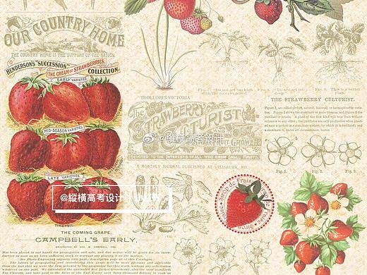 国美设计｜信息可视化参考