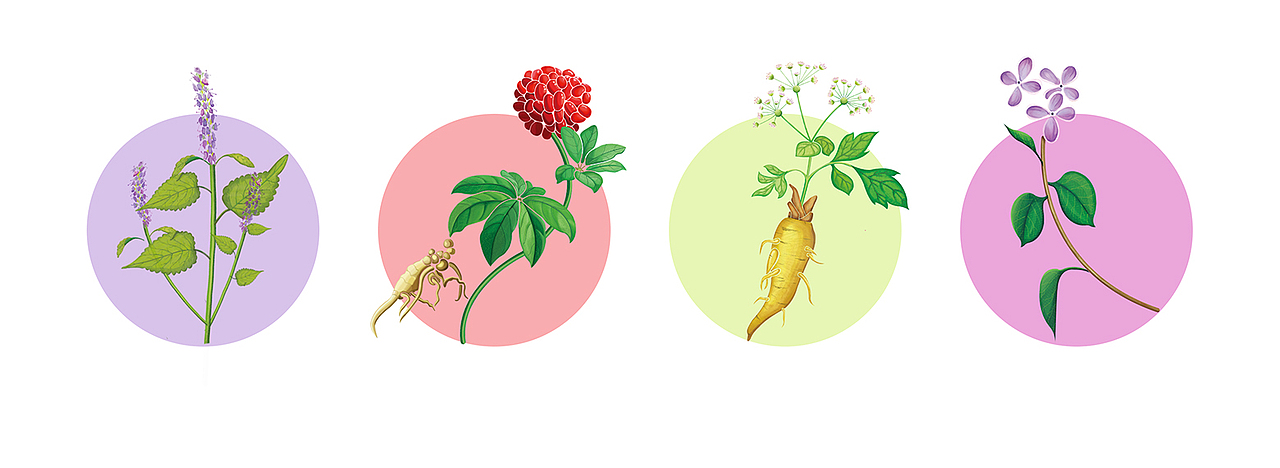 健世本草—草本护龈，长效固齿